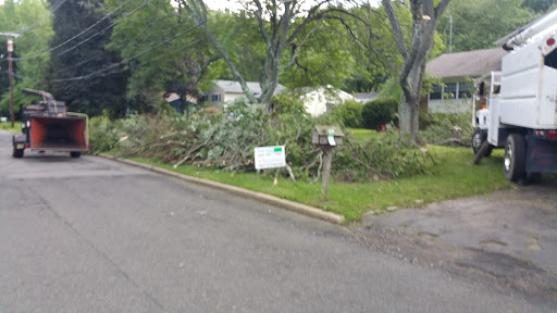 Bear Brook - Visual