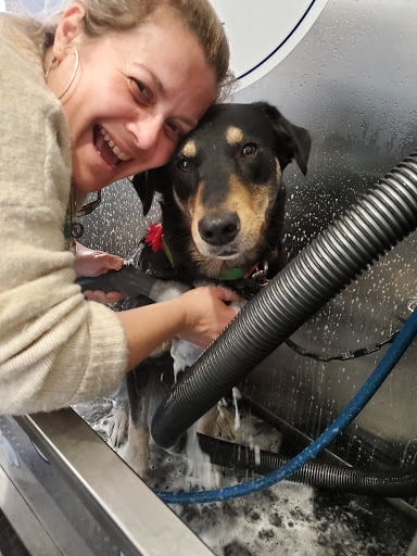 Geronimo's Dirty Paws Dog Wash