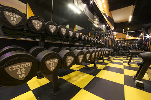 Palestra Power House - Thumbnail