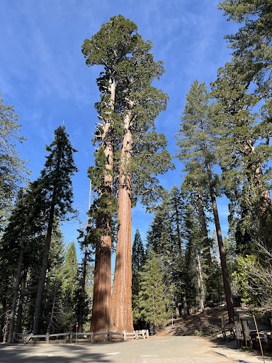 Authentic Adventures Central California
