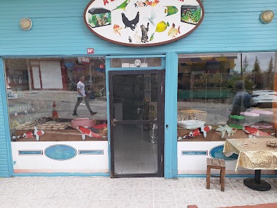 Küplüce petshop