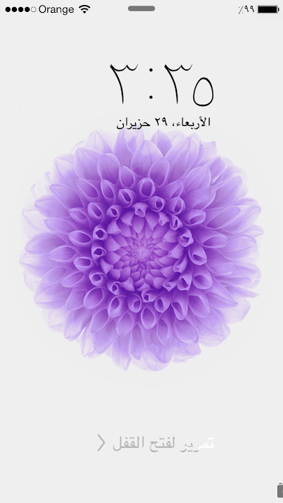 Photos of مسجد الصالحين / الرابيه