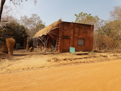 Photos of Nazinga Forest