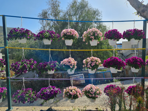 Doğan Peyzaj Uygulama