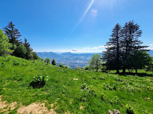 Chalets du Sire - Thumbnail