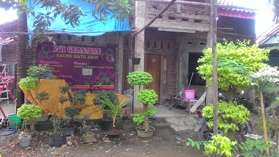 Photos of ajie bird fram