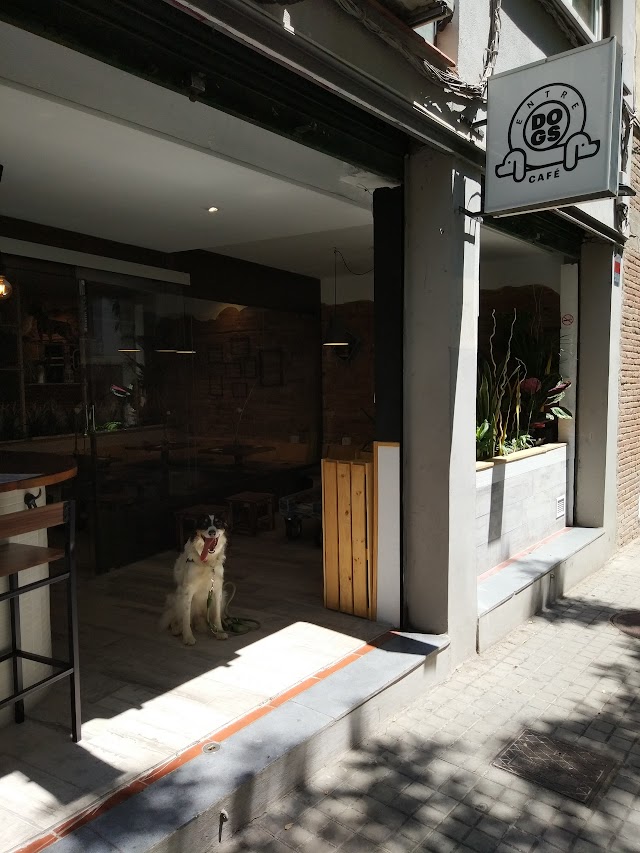 EntreDogs cafe