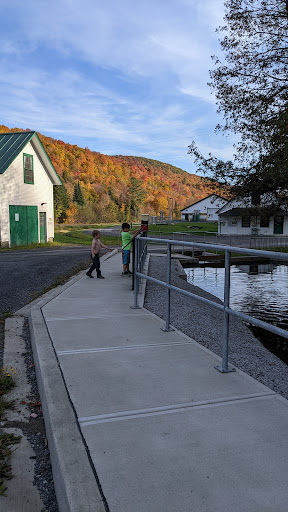Fish Hatchery - Visual