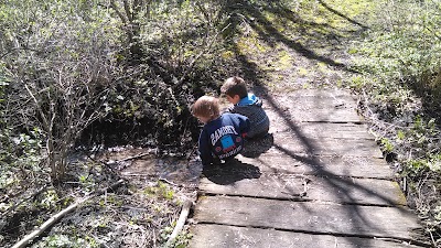 Burt Lake Campground and Wildlife Area