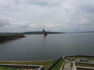 Photos of Ikan Nila Mas Harwito