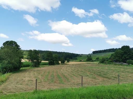 Kleingartacher Ländle