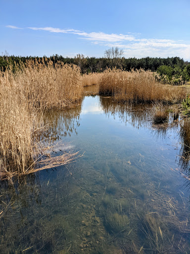 Paupitzscher See - Thumbnail