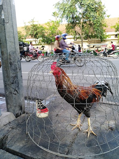 Photos of S&P Thai Restaurant & Bakery Cambodia