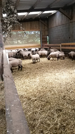 Ferme de la Mare Caveliere