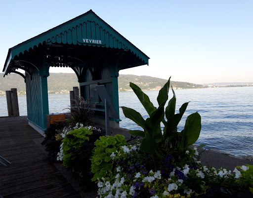 Photo de Logis Hôtel Villa Riva