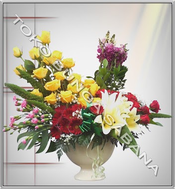 Toko Bunga Sabana florist jakarta online, Author: Toko Bunga Sabana florist jakarta online