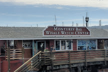 Princess Monterey Whale Watching, Monterey, United States