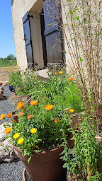Photo n°20 de Séjour de Paix en Campagne Jans Nozay Derval à Jans (Maison d'hôtes)