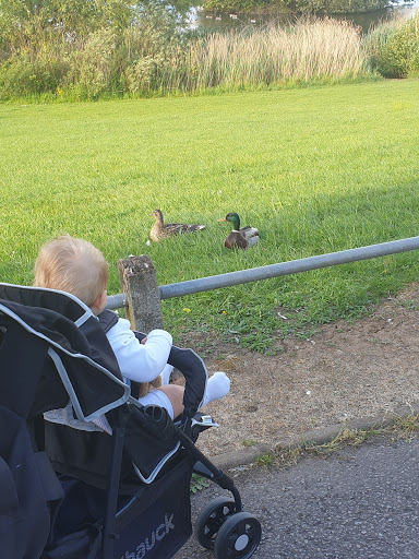 Bluebell Drive Park - Thumbnail