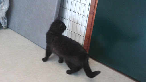 Morgongåva Veterinärklinik - Thumbnail