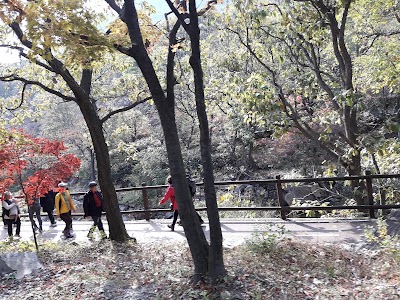 Photos of 내장야영장