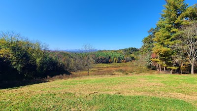 Asheville Phoenix Properties