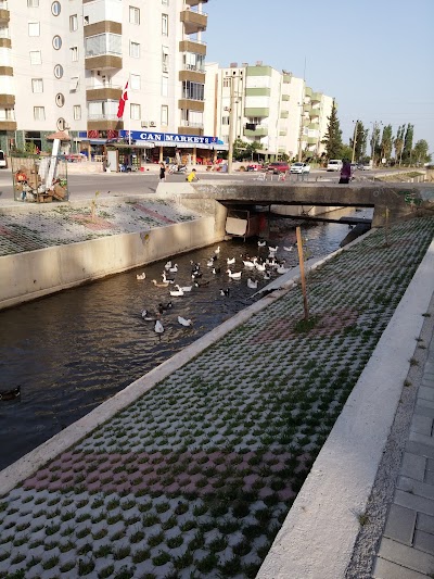 Photos of Yiğit Market 2