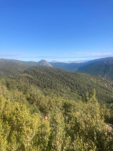 Pico Gratal - Visual