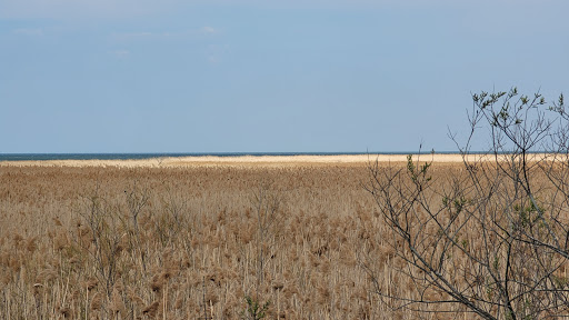 Joseph M Soehnel Nature Trail Gallery - United States