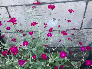 Photo n°6 de LEAC à La Couronne (Association bénévole)