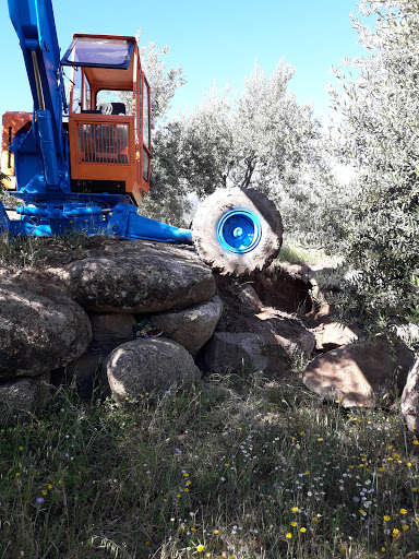 Tescere - Thumbnail
