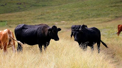 Photos of Marutswa Nature Reserve