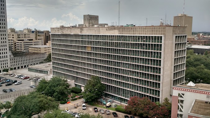 New Orleans City Hall, Author: Juan Trippe Aviation Pioneer and Founder Pan Am