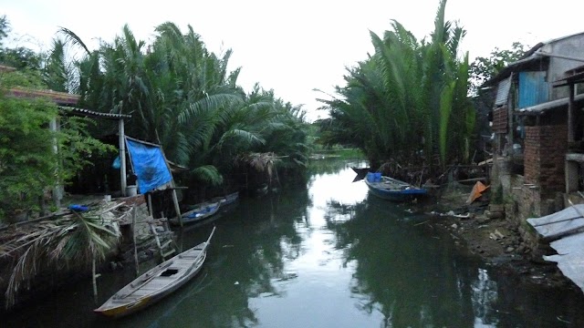 Coconut Garden