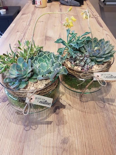 Photos of L' Euphorbia