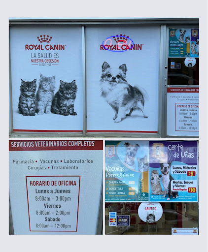 Clinica Veterinaria El Buen Pastor - Thumbnail