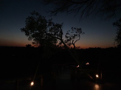 Photos of Boat station Camp Okavango