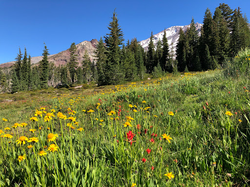 Panther Meadow Campground - Thumbnail