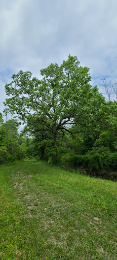 Nature View Park - Thumbnail