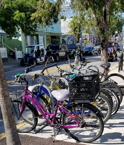 TK Pest control services of Key West FL - Thumbnail