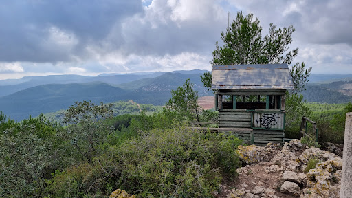 Puig d'Agulles - Thumbnail