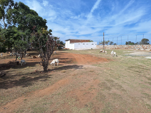 Rancho Juan Jose - Thumbnail