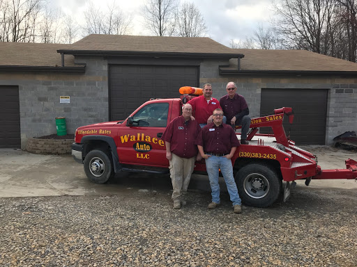 Wallace Auto LLC - Visual