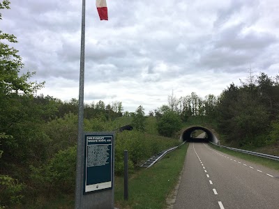 Wildviaduct Woeste Hoeve, A50