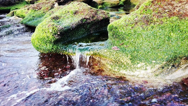 Gorrondatxe hondartza, Azkorri