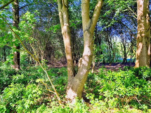 Barnwell East Gallery - United Kingdom