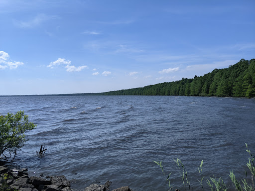 Pettigrew State Park - Thumbnail