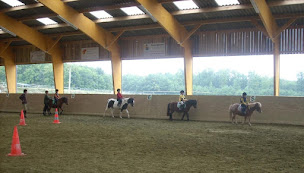 Photo n°7 de Centre Equestre et Poney Club Du Buisson à Tauxigny-Saint-Bauld (Centre équestre)