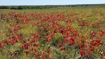 Paint Brush Prairie Conservation Area