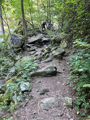 Lower Emery Creek Falls - Thumbnail
